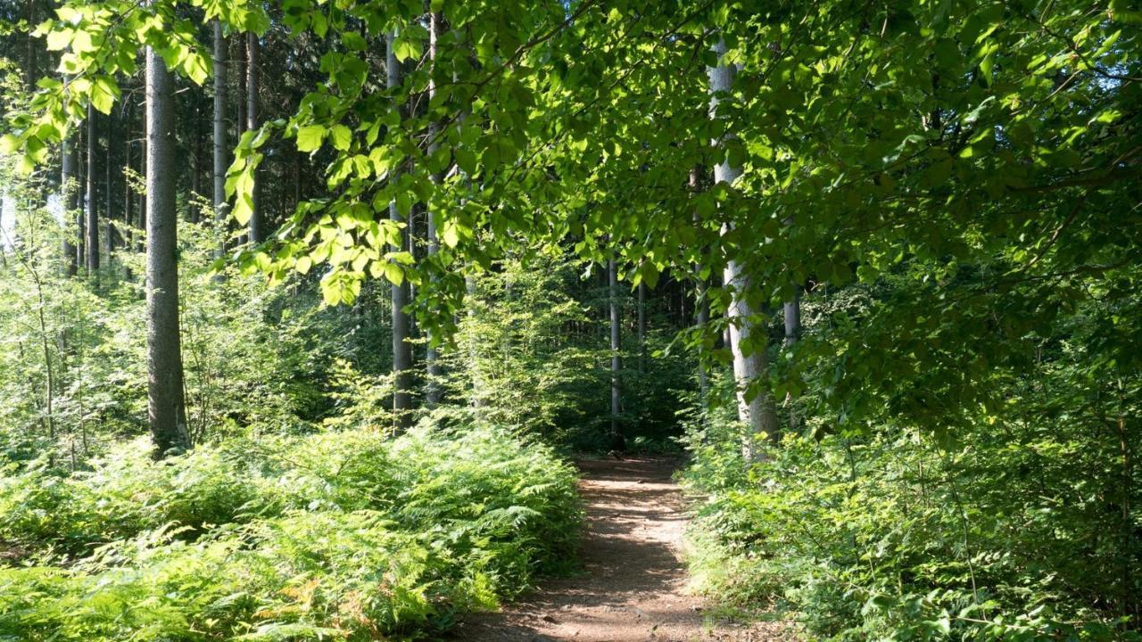 Itm Hotel Bettkaestchen Am Sachsenwald Reinbek Exteriör bild