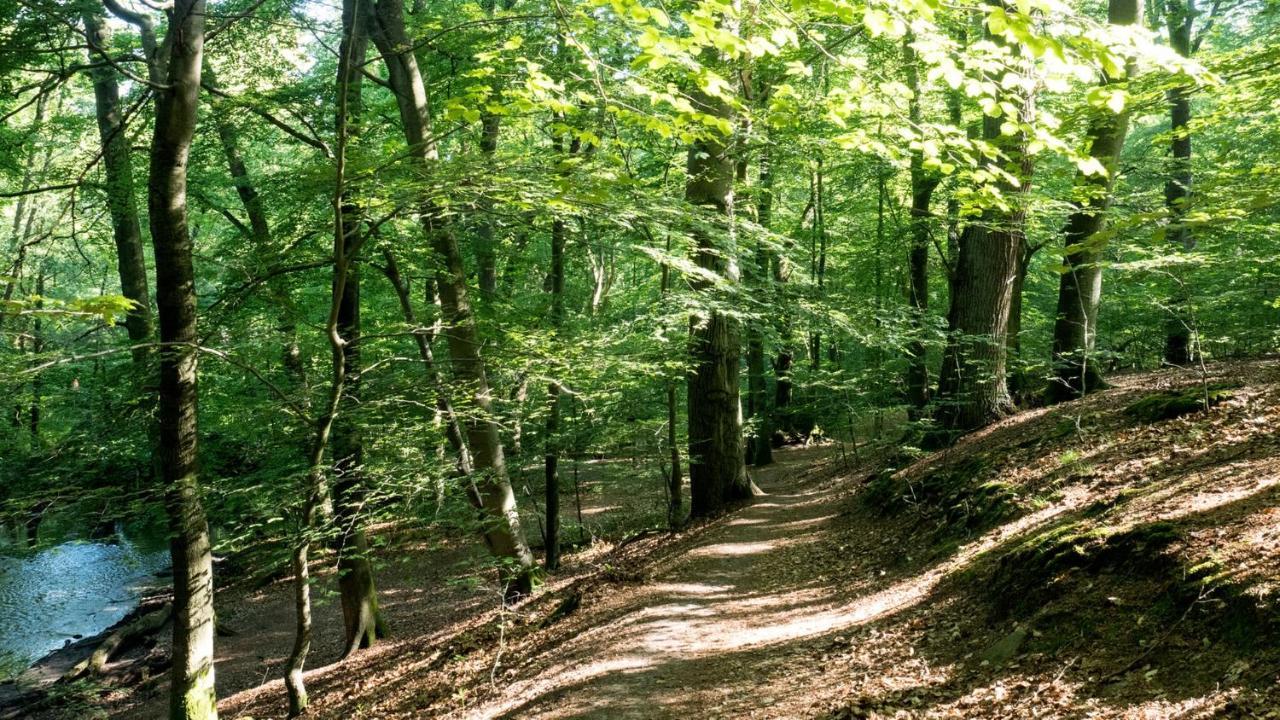 Itm Hotel Bettkaestchen Am Sachsenwald Reinbek Exteriör bild